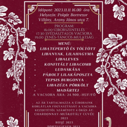 MÁRTON-NAPI LIBALAKOMA VILLÁNYBAN, MÁRTON-NAPI MULATSÁG A POLGÁR PINCE ÉS PANZIÓBAN