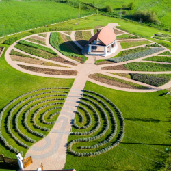 SZABÓ GYURI BÁCSI GYÓGYNÖVÉNYTÚRÁK 2022 BÜKKSZENTKERESZT