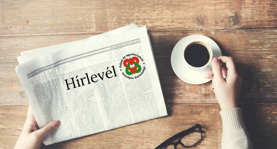 Szakmai hírlevél - szeptember