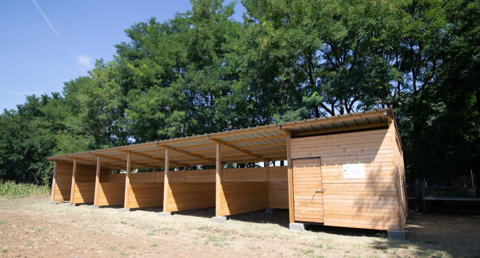 Lóháton felfedezni Magyarország értékeit – ebben van potenciál