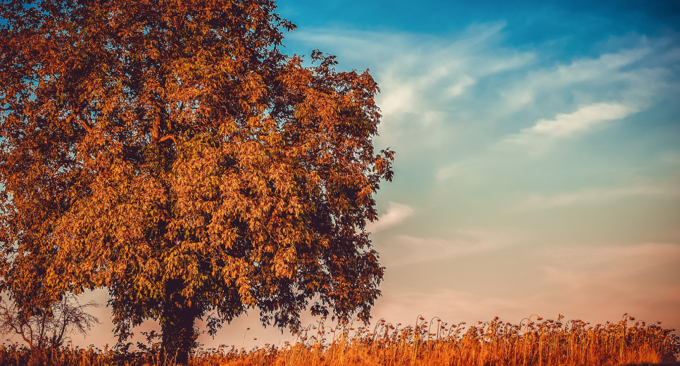 Guller Zoltán: a belföldi turizmusban minden eddigi rekord megdőlt a nyáron