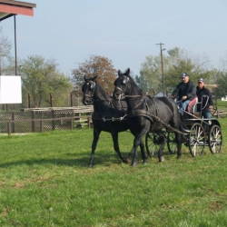 Hortobágyi fogathajtó verseny