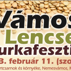 Tárlatvezetés a Gyulai Almásy-kastély látógatóközpontban