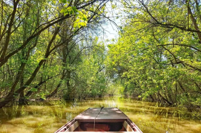 Érkezik a Boglya Feszt, a Tisza-tavi öko-művészeti fesztivál