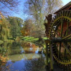 V. Göcseji Dombérozó