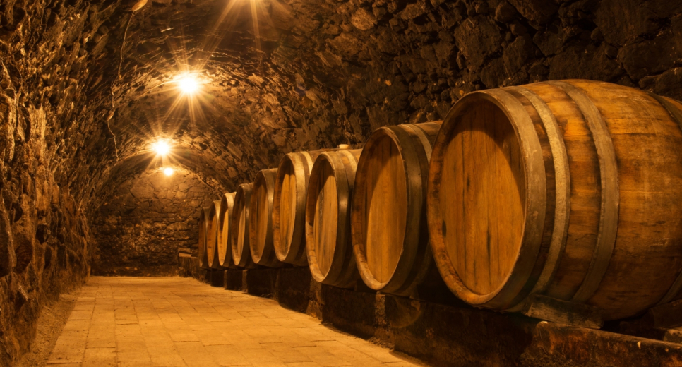 Jön az ePincekönyv, az Országgyűlés előtt az új bortörvény