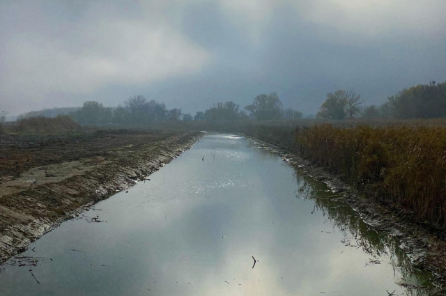 60 hektáron éled újjá a Holt-Tisza és három holtágának élővilága