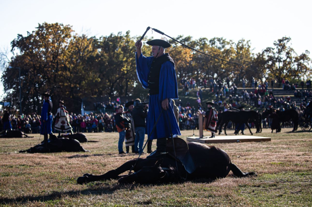 Idén is szemtanúi lehetünk az állatok behajtásának a télre készülődő Hortobágyon