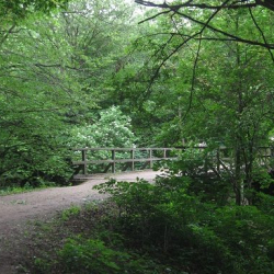 Bakancsos Túra Nemzeti Ünnepünkön