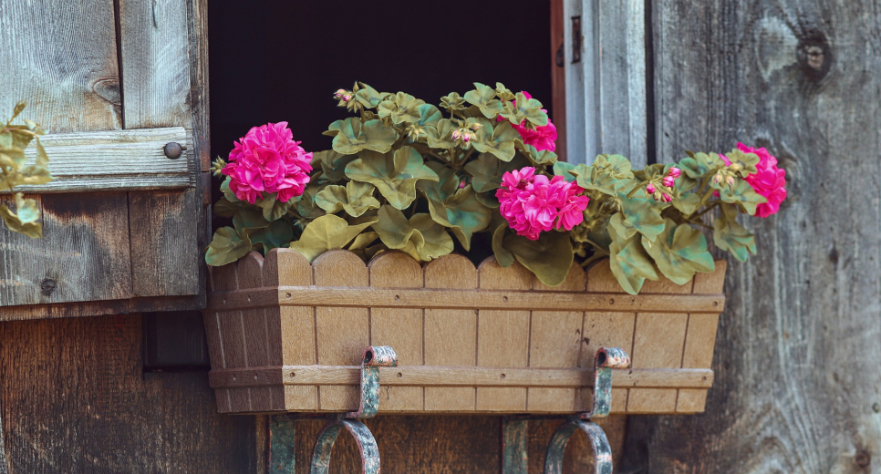 „FOGADJ ÖRÖKBE MUSKÁTLIT!” PROGRAM BÁTORBAN