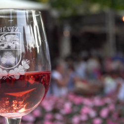 HÉVÍZI BOR- ÉS GASZTROKORZÓ 2023