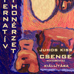 CSAK! Fesztivál és Workshop Csengerben