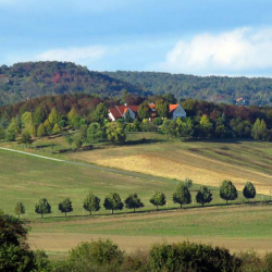 PÉCSELYI FALUNAP 2021