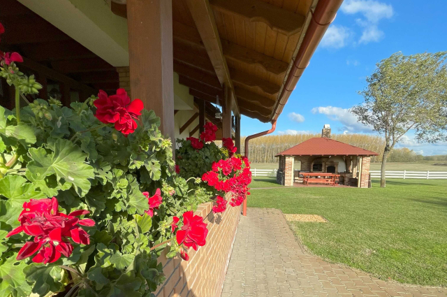 Aktív kikapcsolódás az alföldi tanyavilágban