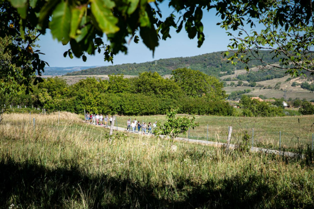 A Bor-Barangoló újra megnyitja a mecseknádasdi pincesorokat