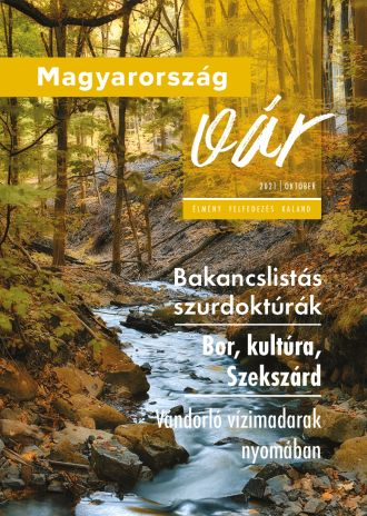 Megjelent a Magyarország vár magazin októberi száma