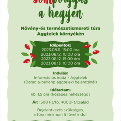 AGGTELEKI SOM ÜNNEP 2023. GYÜMÖLCSFESZTIVÁL SOMTERMÉKEK VERSENYÉVEL, ELŐADÁSOKKAL, KÉZMŰVES VÁSÁRRAL