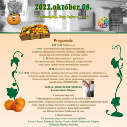 XVI. Fertőszéplaki Tökfesztivál