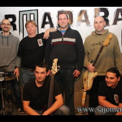 Viharmadarak rock koncert