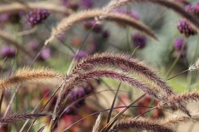Hazai vidéki turizmus népszerűsítése