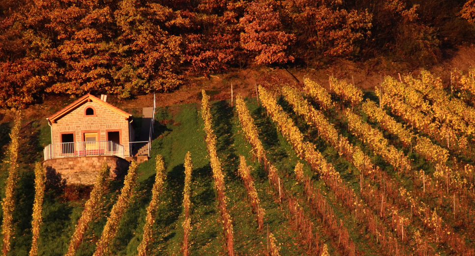 Magánszálláshely pályázat: megkezdődött a támogatások utalása