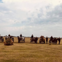 42. KÖSELY KUPA, HAJDÚSZOBOSZLÓI LOVASFESZTIVÁL