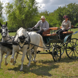 Somogy megyei konzorcium - VADÁSZATI ÉS TERMÉSZETI VILÁGKIÁLLÍTÁS 2021 MAGYARORSZÁG