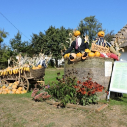 Őrségi Tökfesztivál 2021