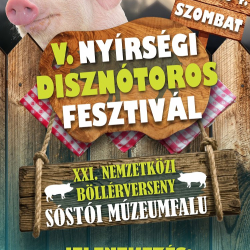 V. Nyírségi Disznótoros Fesztivál és XXI. Nemzetközi Böllérverseny