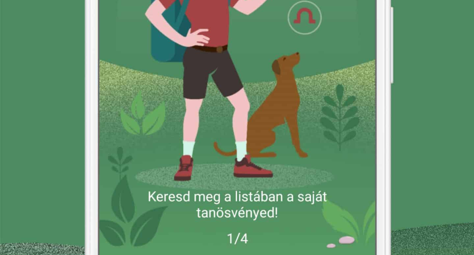 Meseösvényeken fedezhetjük fel a Budapest környéki erdőket