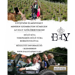Gyűjtsön Élményeket minden szombaton az Egly Szőlőbirtokon!