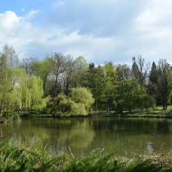 Kert a Köbön Fesztivál