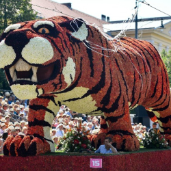 VIRÁGKARNEVÁL DEBRECEN 2023