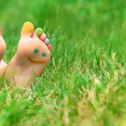 3+1 izgalmas gyereknapi program a nemzeti parkokban és a natúrparkokban