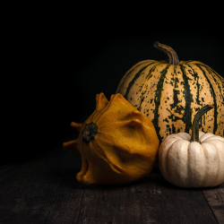 Őrségi Tökfesztivál 2021