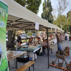 TURIZMUS ÉS HELYI TERMÉK KIÁLLÍTÁS ÉS VÁSÁR PÉTERVÁSÁRA 2022. LEADER SZAKMAI NAP