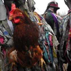 Tikverőzés Moha 2023.