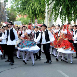 SZEKSZÁRDI SZÜRETI NAPOK 2023