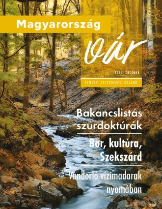 Megjelent a Magyarország vár magazin októberi száma