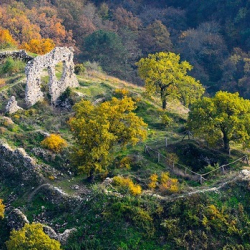 Családi nap és Várjátékok