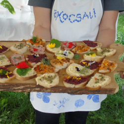 Falusi Vendégfogadók XIV. Nemzetközi Sütő-Főző Fesztiválja