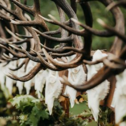 Szent Hubertus búcsú