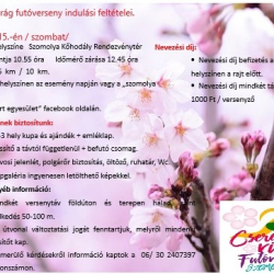 Cseresznyevirágzás Ünnepe Szamolyán