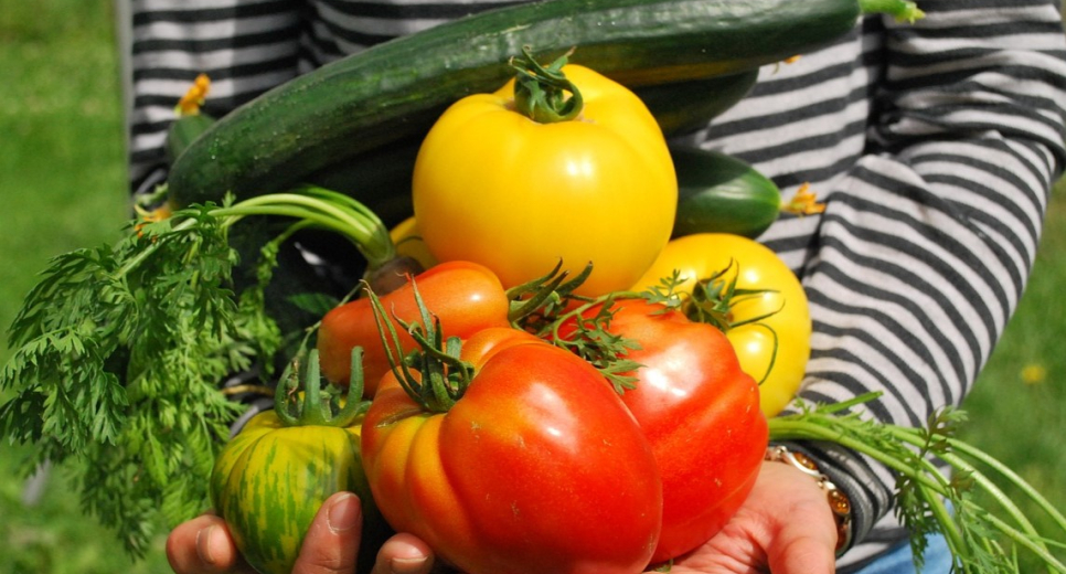 A kistermelők: kulcs a fenntartható és minőségi termékek vásárlásához