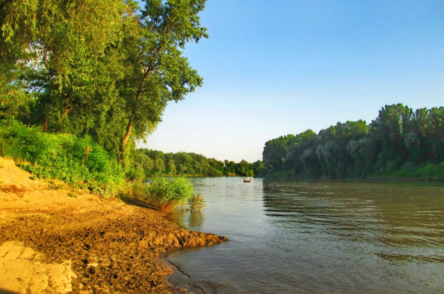 FATOSZ születésnap - Csongrád-Csanád megye