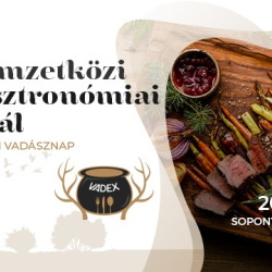 15. Nemzetközi Vadgasztronómiai Fesztivál és Fejér Megyei Vadásznap