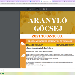Aranyló Göcsej 2021