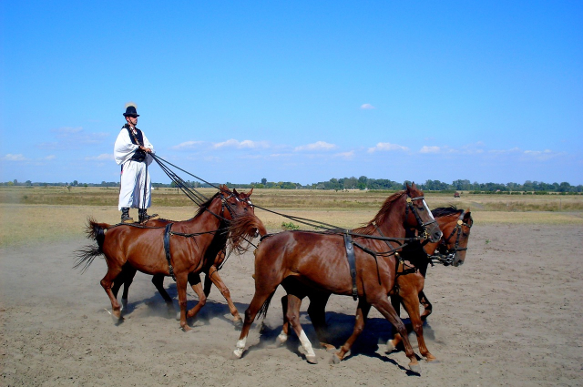 Átadták a Puszta kapuja információs központot Bugacon