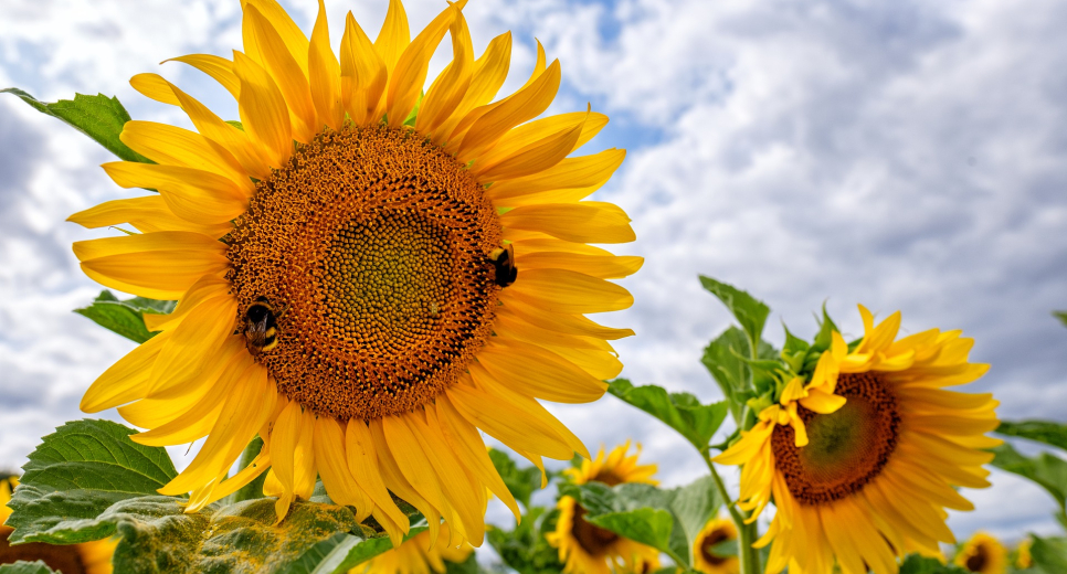 Jelentkezzenek a honlapunkra!