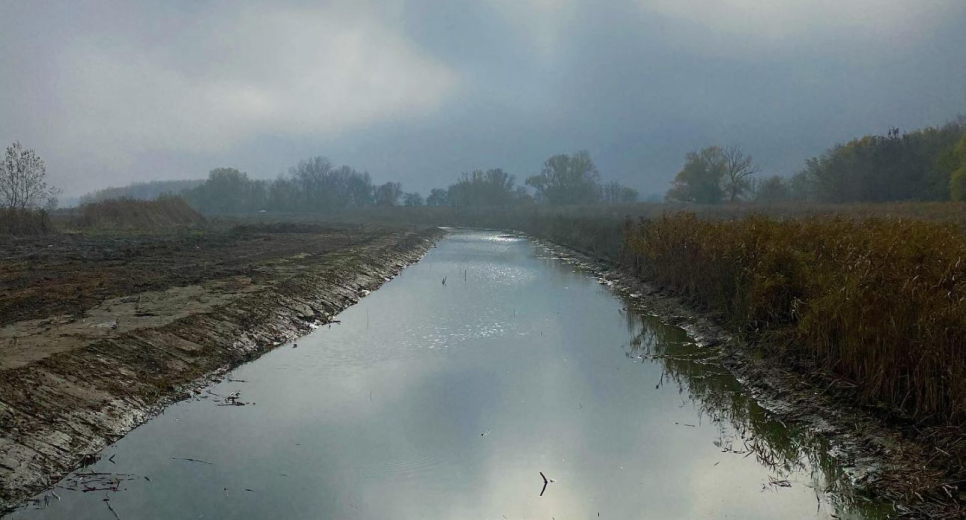 60 hektáron éled újjá a Holt-Tisza és három holtágának élővilága